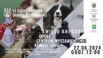 Piknik z okazji 6-lecia 13. Śląskiej Brygady Obrony Terytorialnej 