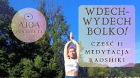 Wdech - Wydech - Bolko 