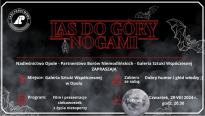LAS DO GÓRY NOGAMI
