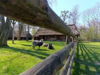Spotkania z twórcami i rękodzielnikami w Muzeum Wsi Opolskiej