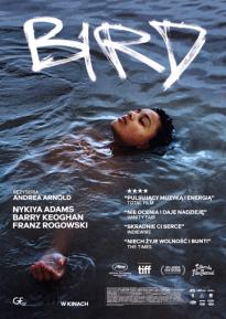 Bird - Kino Koneseraa