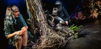 XXXII OFTL/ Pinok.io, czyli co czują maszyny - Teatr Maska w Rzeszowie
