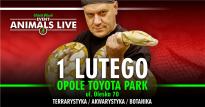Animals Live Opole - Toyota Park