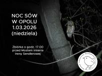 Noc Sów w Opolu