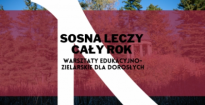 Warsztaty edukacyjno-zielarskie dla dorosłych: Sosna leczy cały rok