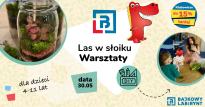 LAS W SŁOIKU - WARSZTATY DLA DZIECI w Bajkowym Labiryncie