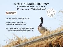 Spacer ornitologiczny w Muzeum Wsi Opolskiej